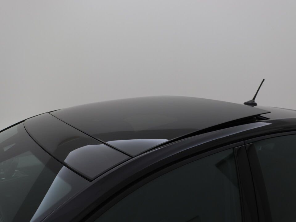 Volkswagen Polo 2.0 TSI 207 PK GTI DSG