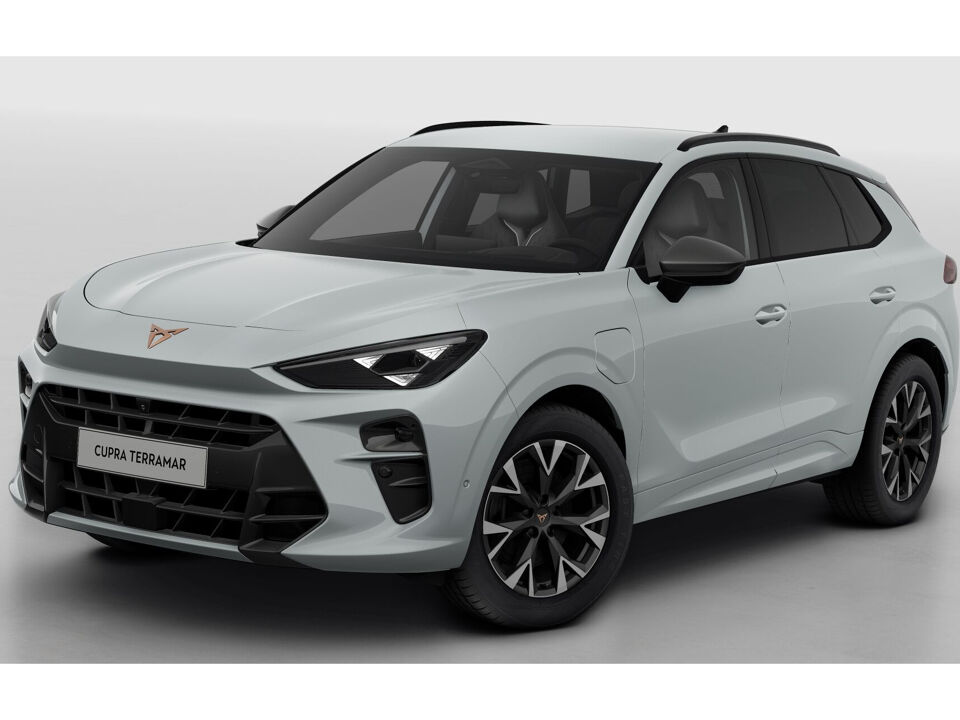 CUPRA Terramar Business