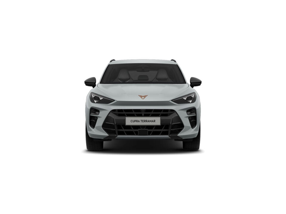 CUPRA Terramar Business