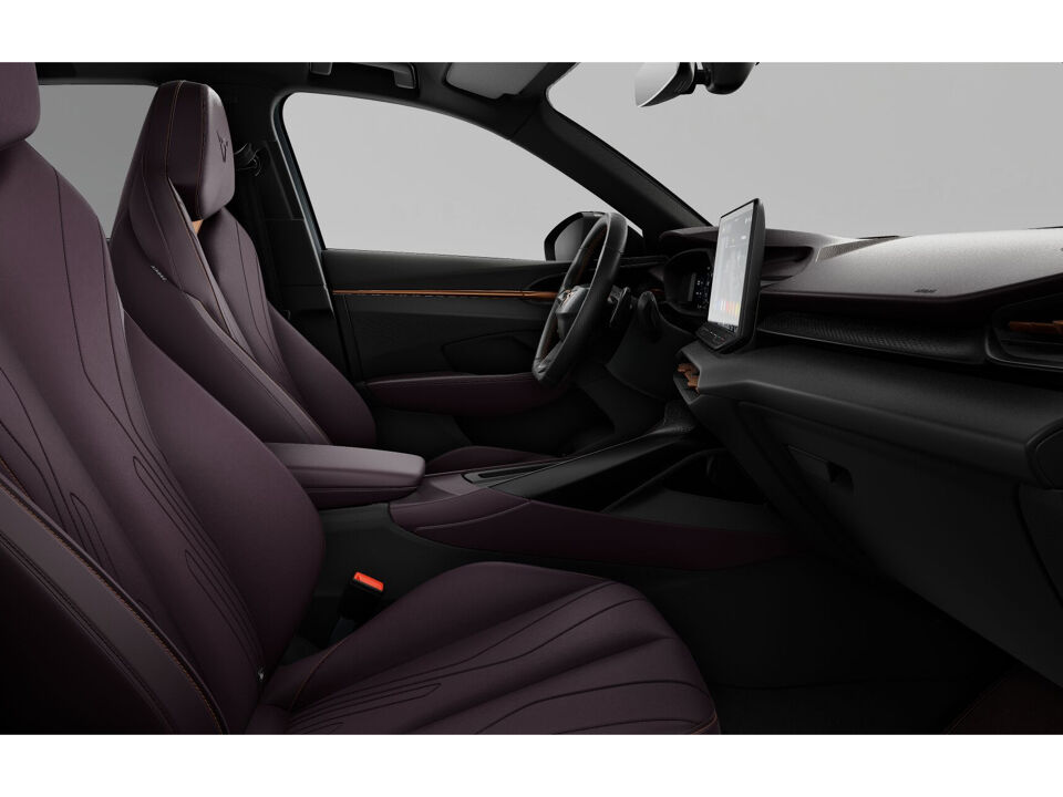 CUPRA Terramar Business