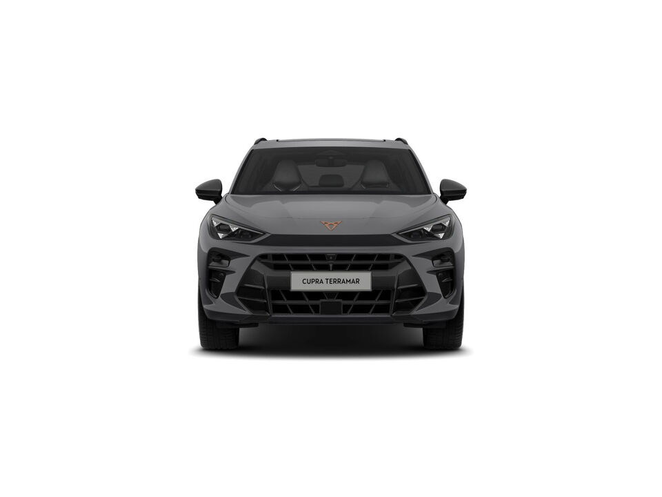 CUPRA Terramar Business