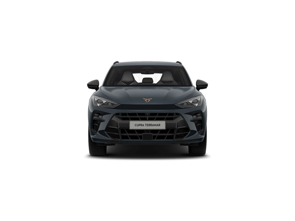 CUPRA Terramar Business