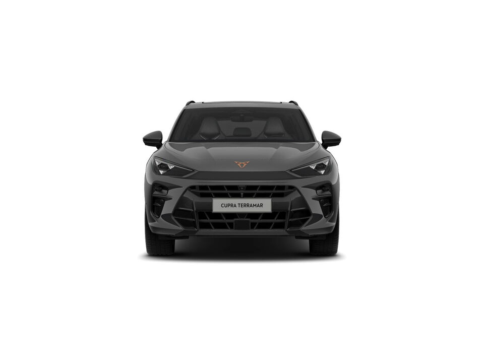 CUPRA Terramar Business