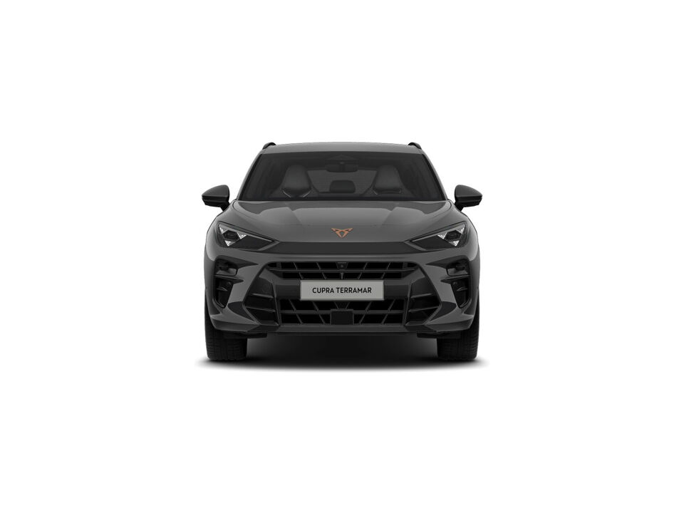 CUPRA Terramar Business