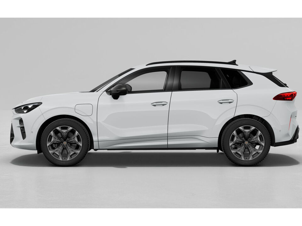 CUPRA Terramar Business
