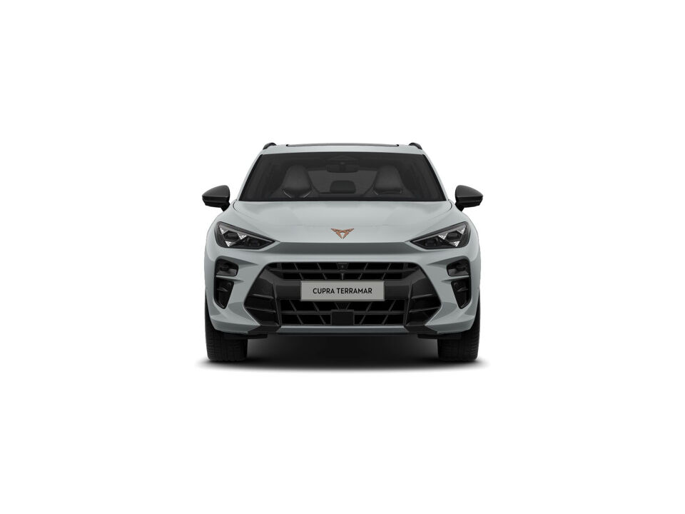 CUPRA Terramar Business