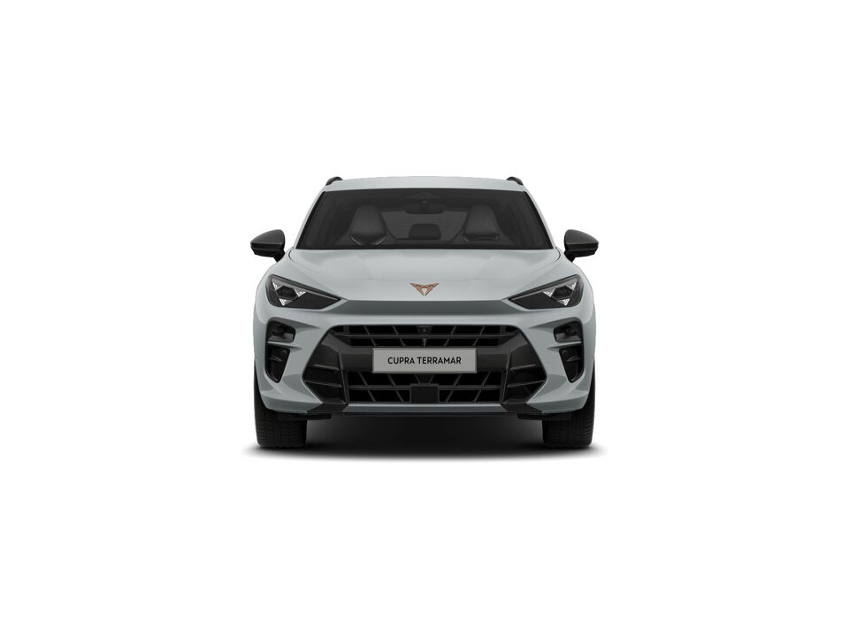 CUPRA Terramar Business