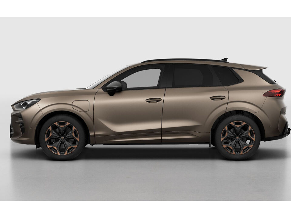 CUPRA Terramar Business