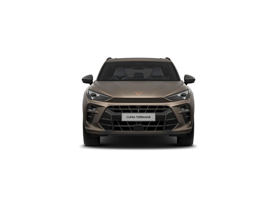 CUPRA Terramar Business