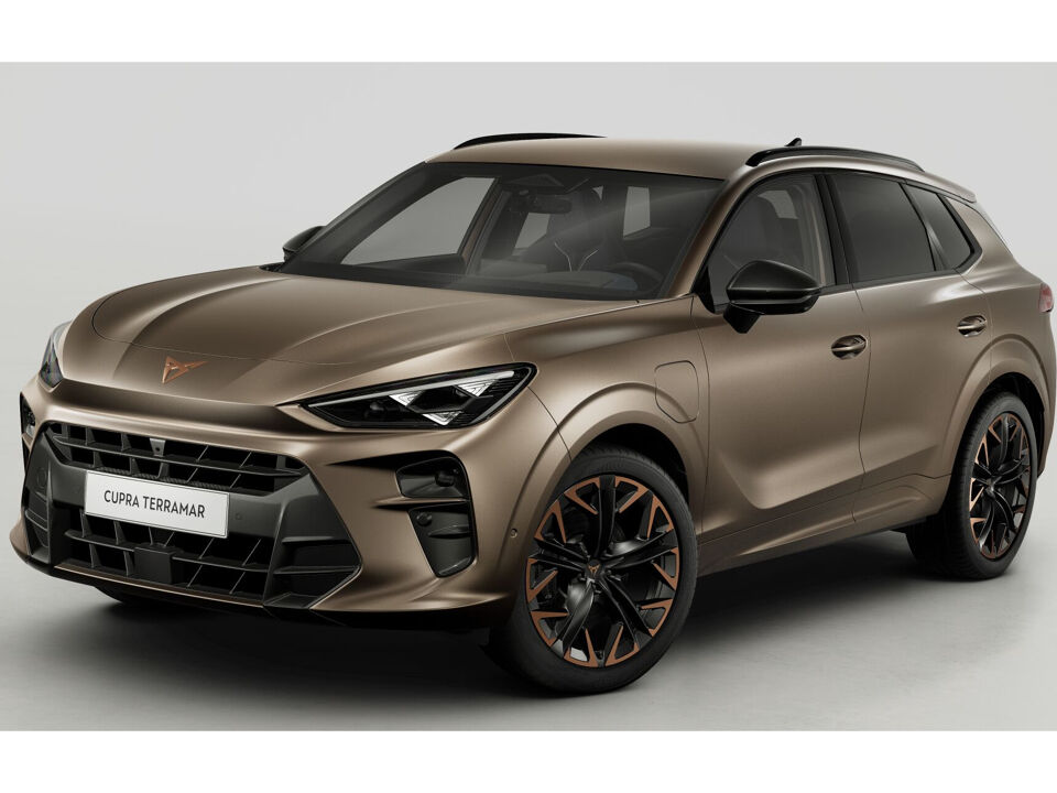 CUPRA Terramar Business