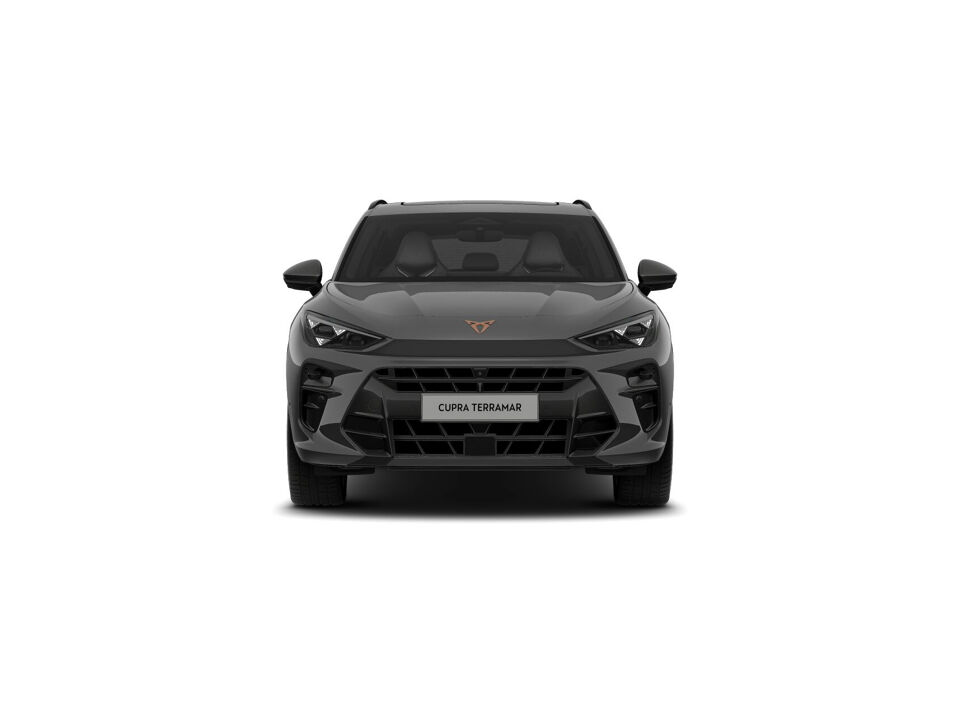 CUPRA Terramar Business