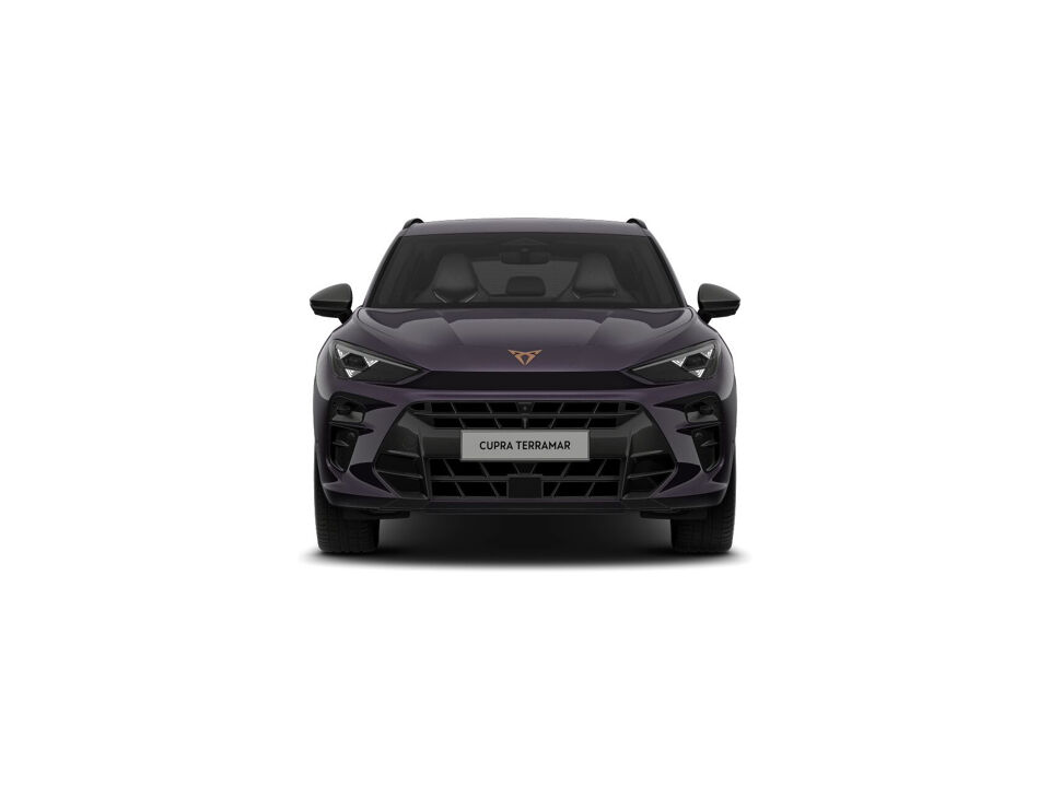 CUPRA Terramar Business