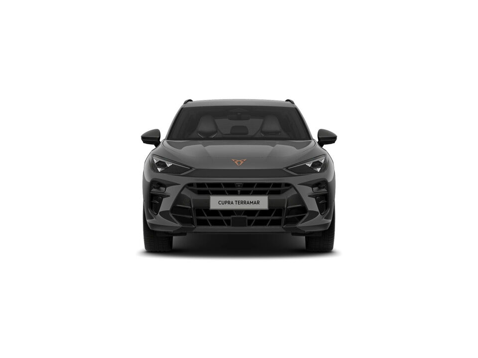 CUPRA Terramar Business