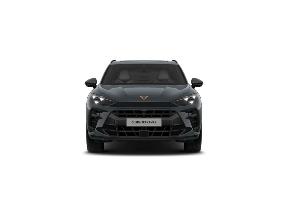 CUPRA Terramar Business