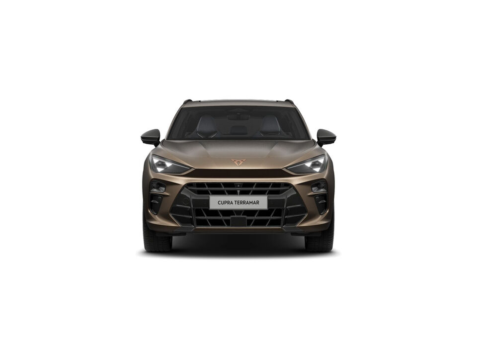CUPRA Terramar Business