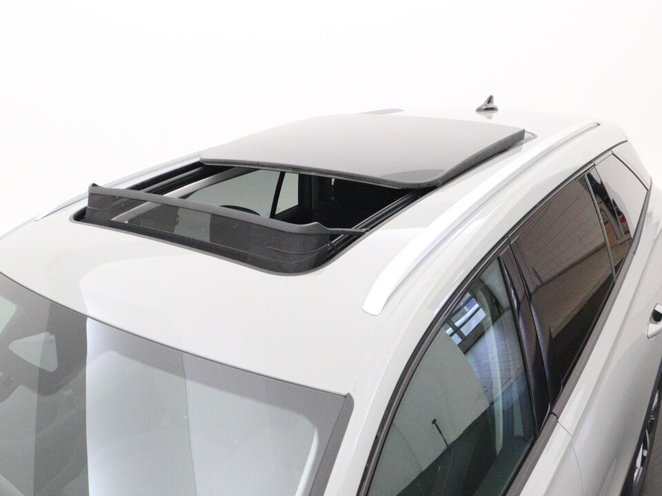 Škoda Kodiaq 1.5 TSI Business Edition 7 persoons