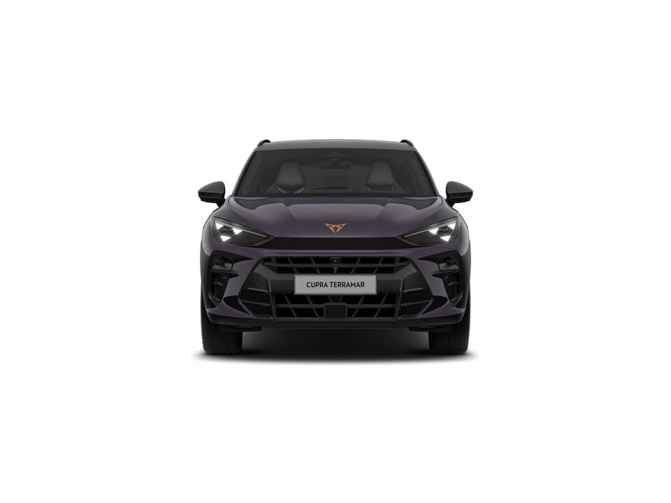 CUPRA Terramar Business