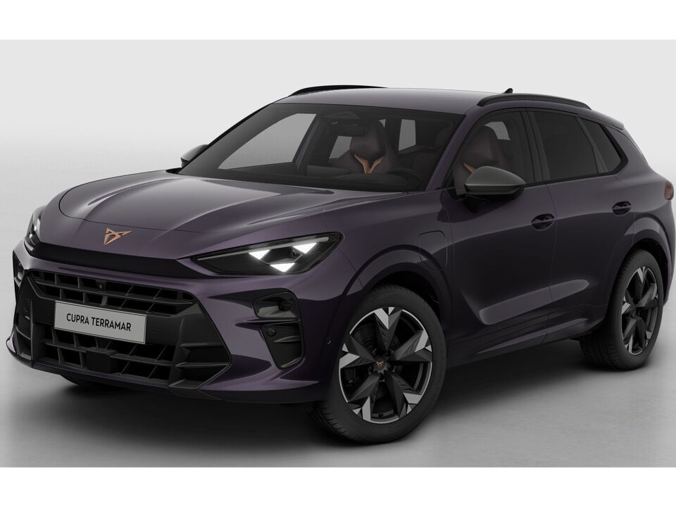 CUPRA Terramar Business