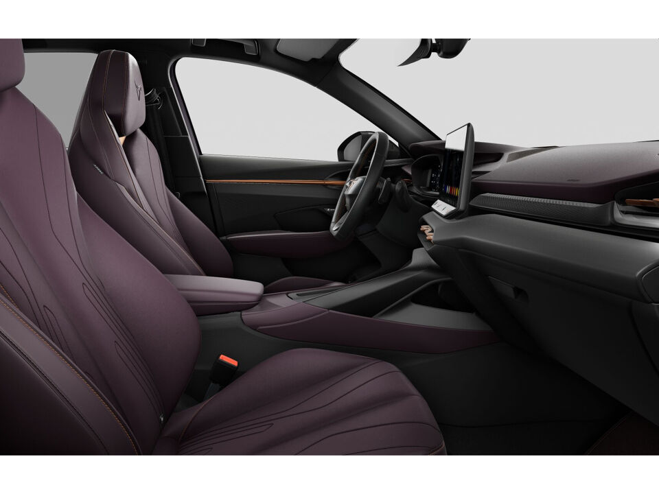 CUPRA Terramar Business