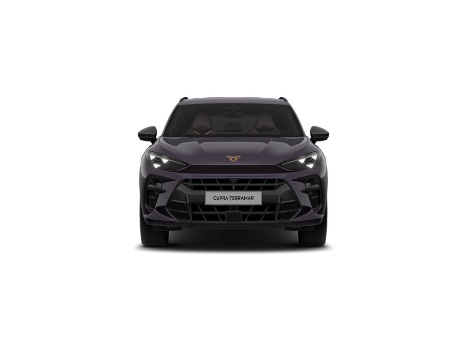 CUPRA Terramar Business