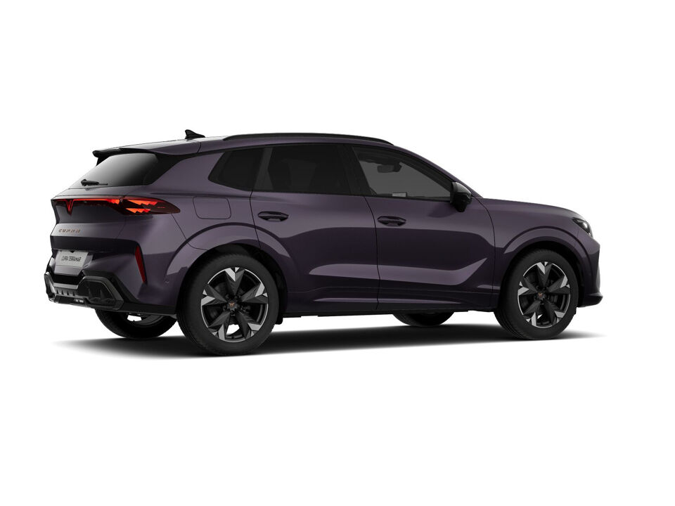 CUPRA Terramar Business