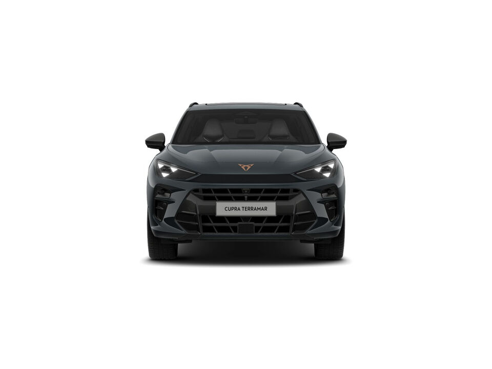 CUPRA Terramar Business