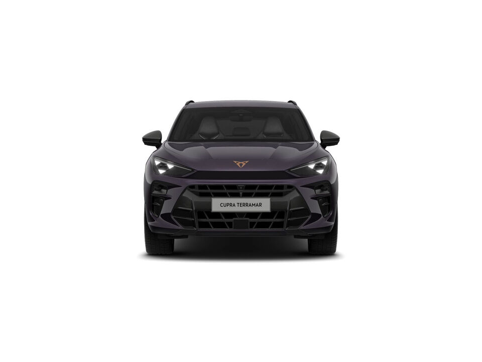 CUPRA Terramar Business