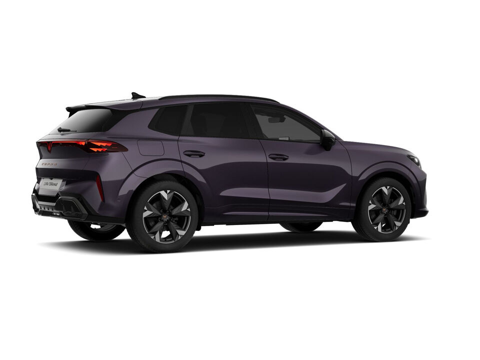 CUPRA Terramar Business
