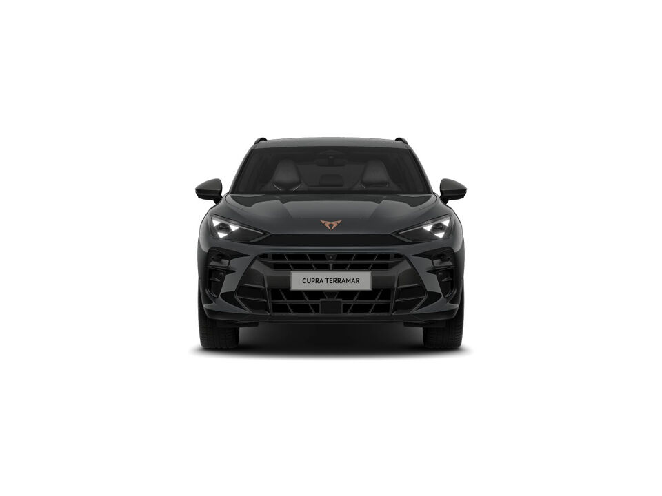 CUPRA Terramar Business