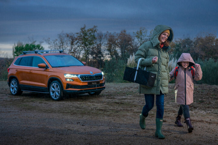 Skoda wintercheck