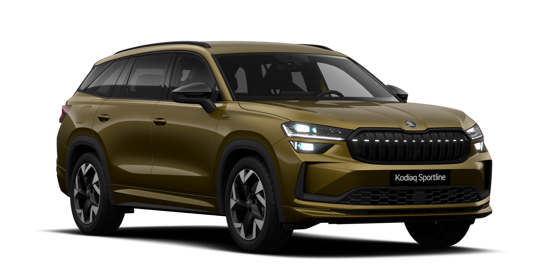 Kodiaq Sportline Business