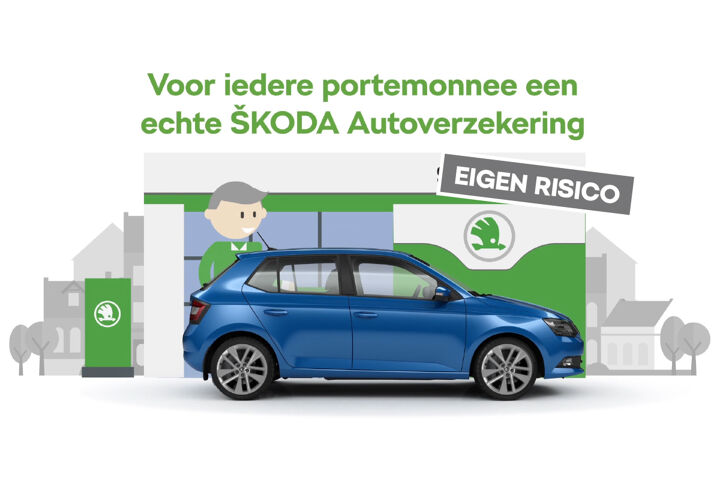 Thumbnails SKODA_1_eigen_risico