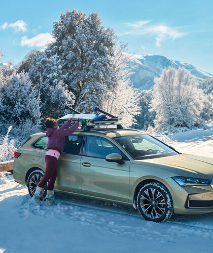 Skoda wintercheck - hero mobile