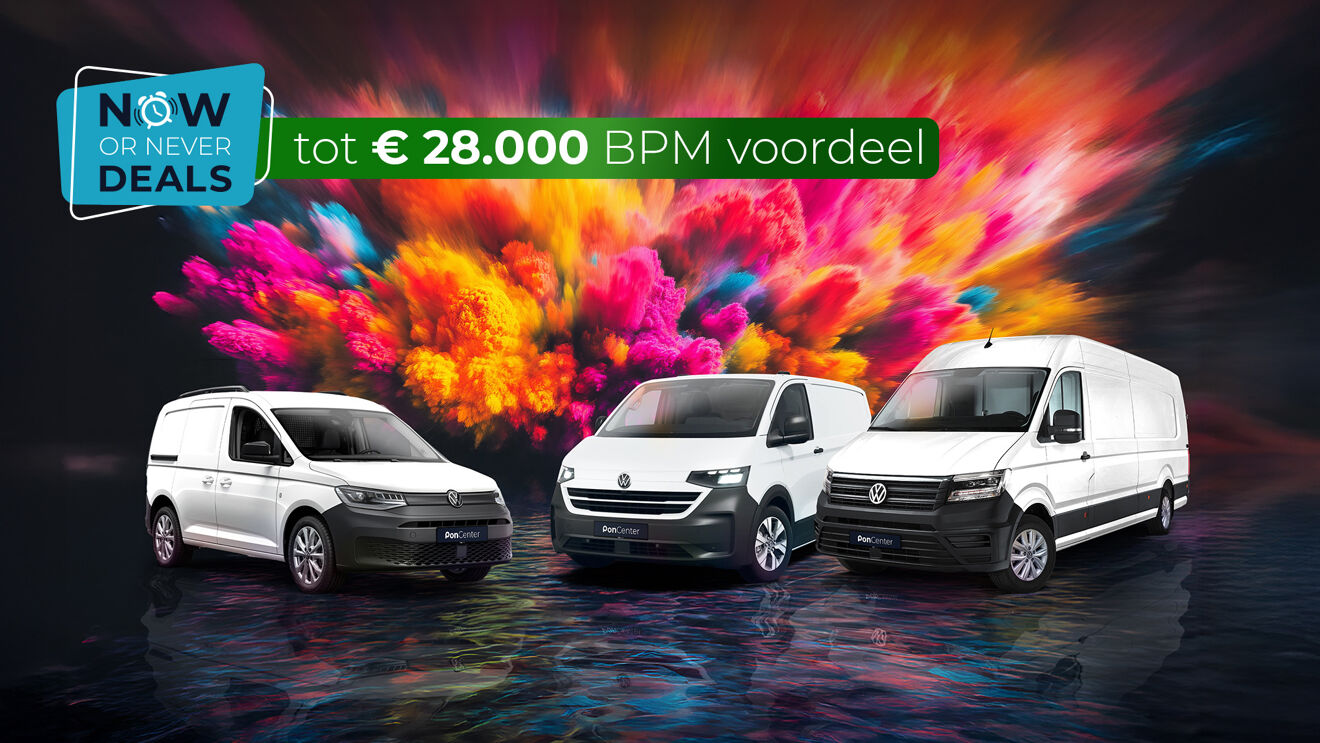 VIsual Now or Never Deals BWG