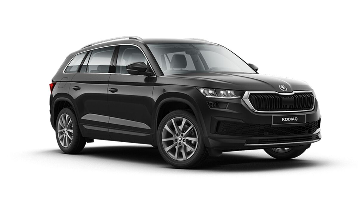 Kodiaq Business Edition Pon Center kodiaq-business-edition-pon-center