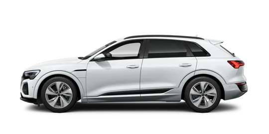 Q8 e-tron S edition Competition